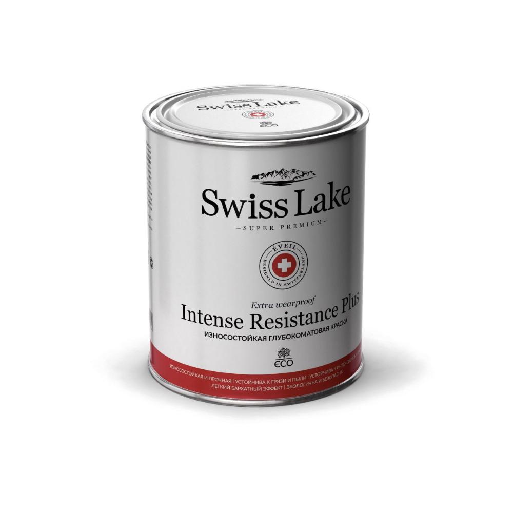 Intense Resistance Plus 2.7л. Глубокоматовая (3%)